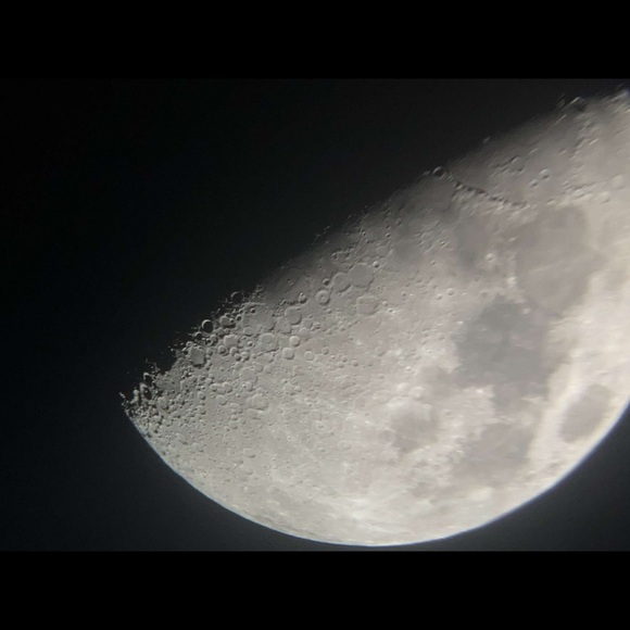 Meet your Posher, Mariah - Picture 4 of 4